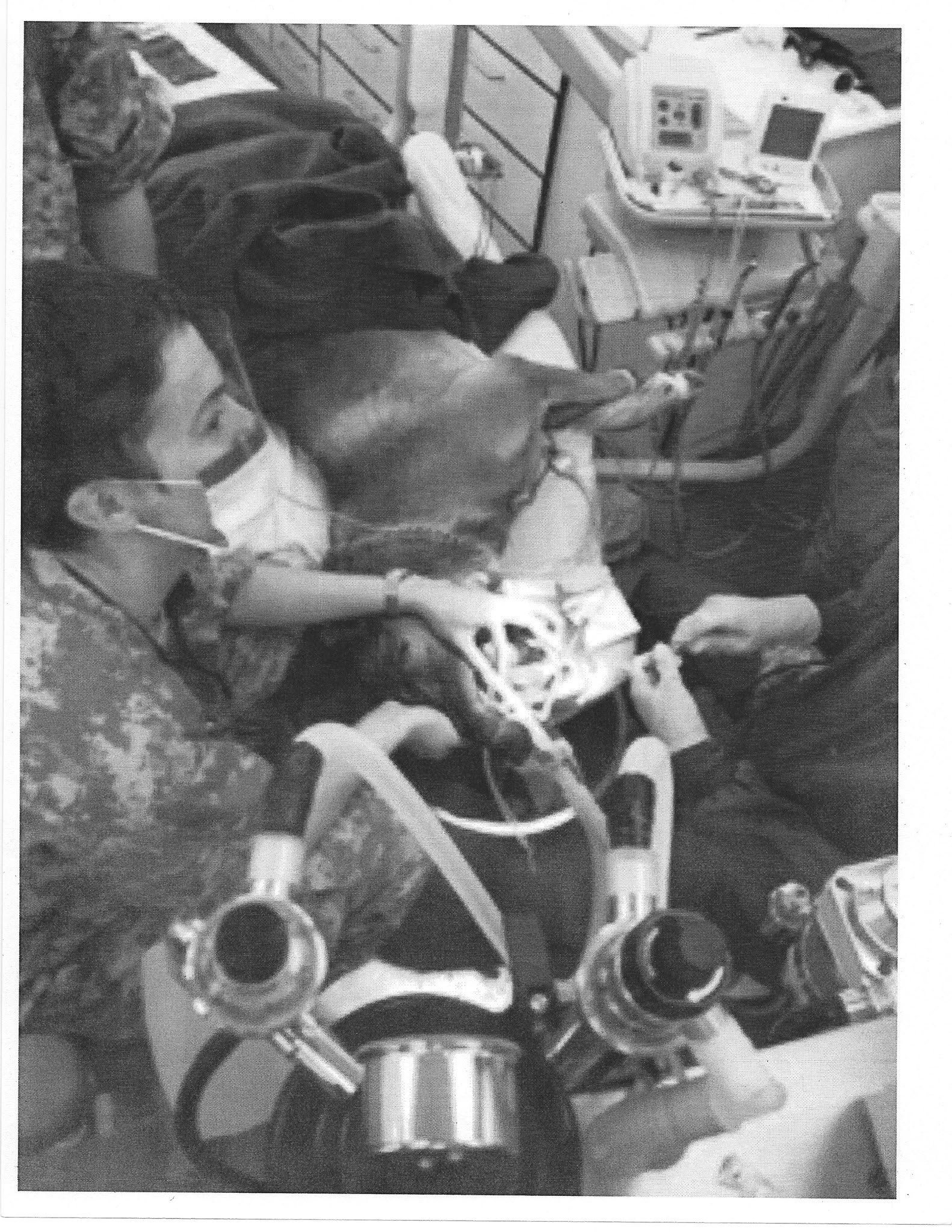 Jess J. Montgomery working in a veterinary treatment setting